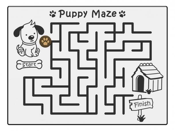 labyrinthe puppy ludique